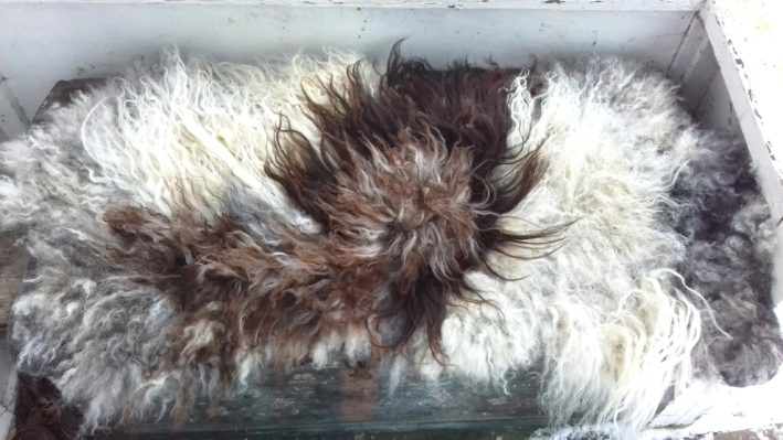 Felted rug/wall hanging - Image 5