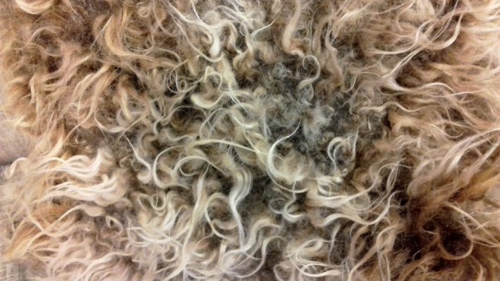 Handmade "vegetarian sheepskin" pillowcase - Image 10