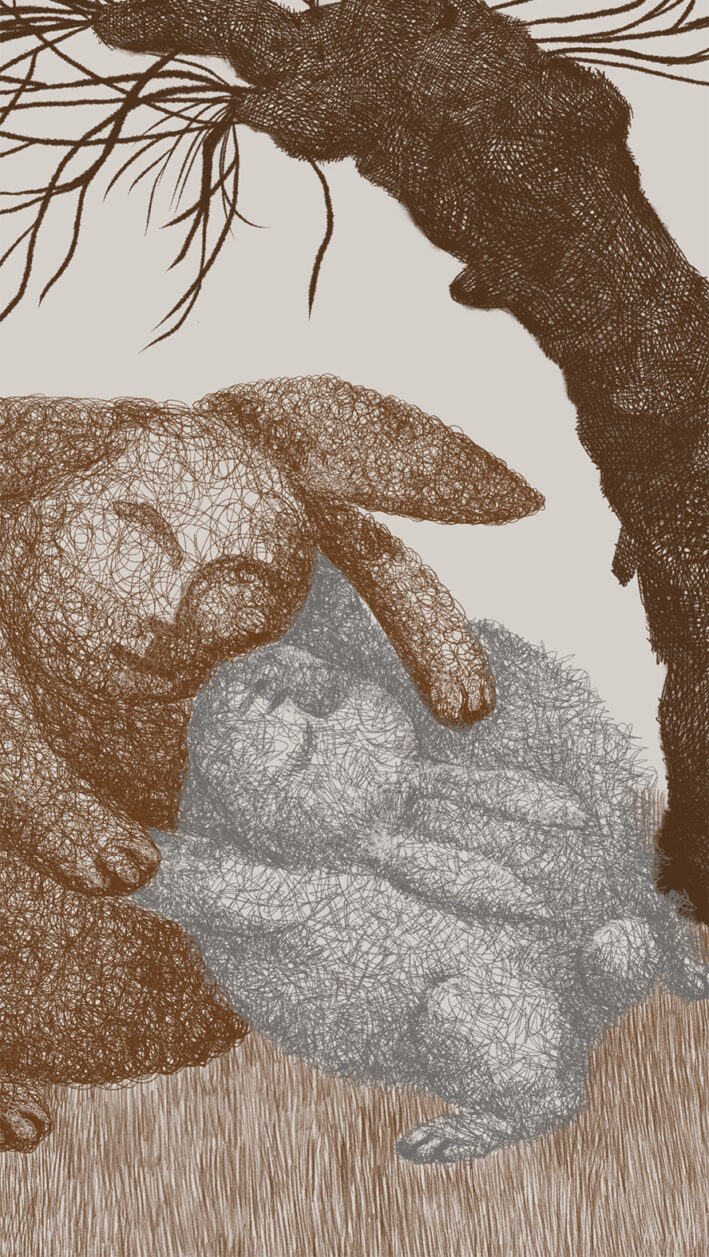 Hares, Graphic Illustration - Image 2