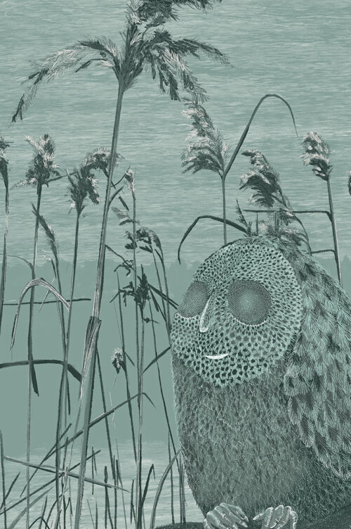 Owl, Graphic Illustration