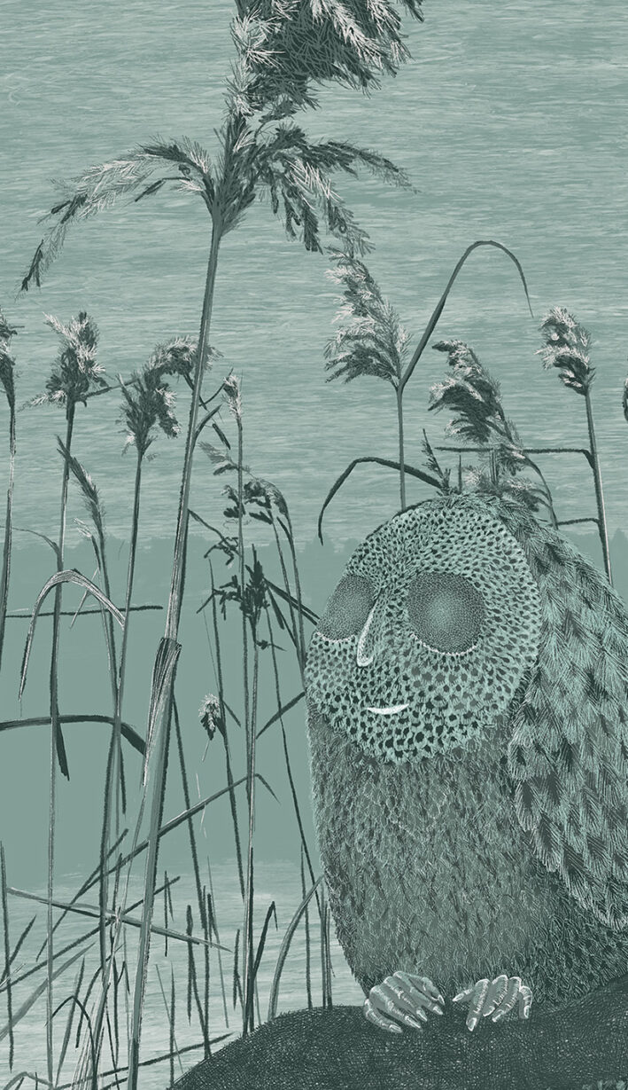 Owl, Graphic Illustration