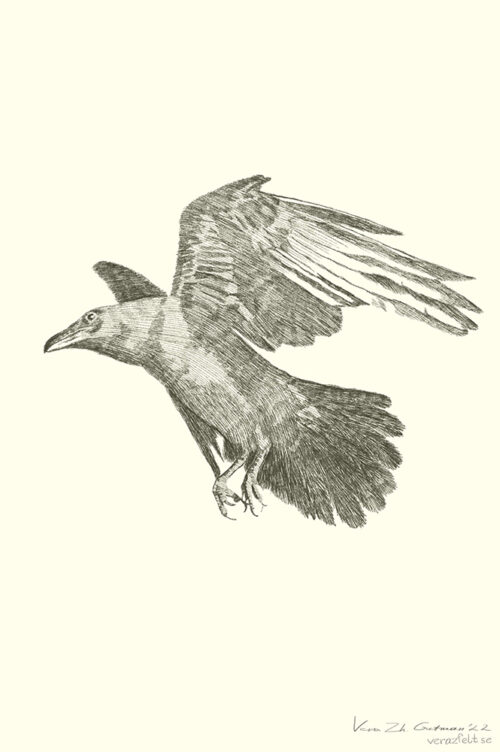 A Raven 2