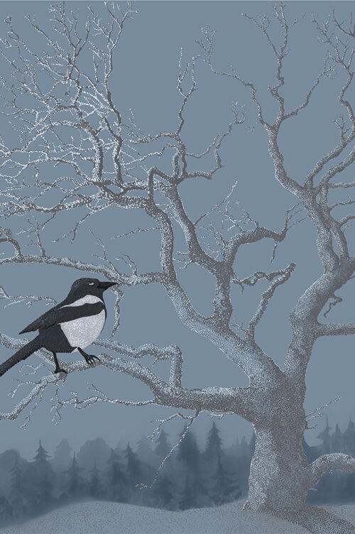 Mysterious magpie