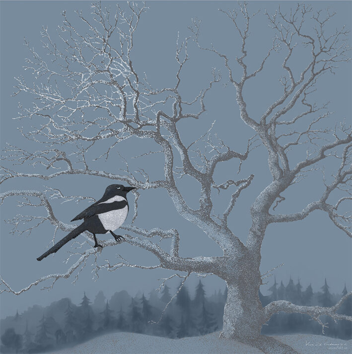 Mysterious magpie