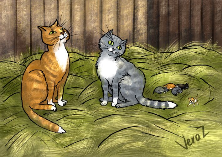 Children's book illustrations - Image 8